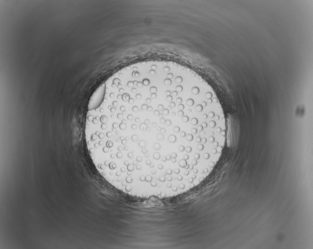 X0000116491491201001201352