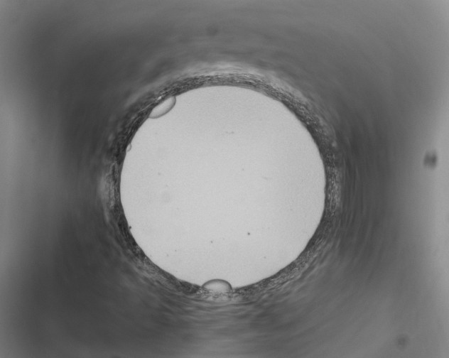 X0000116491493201001201352