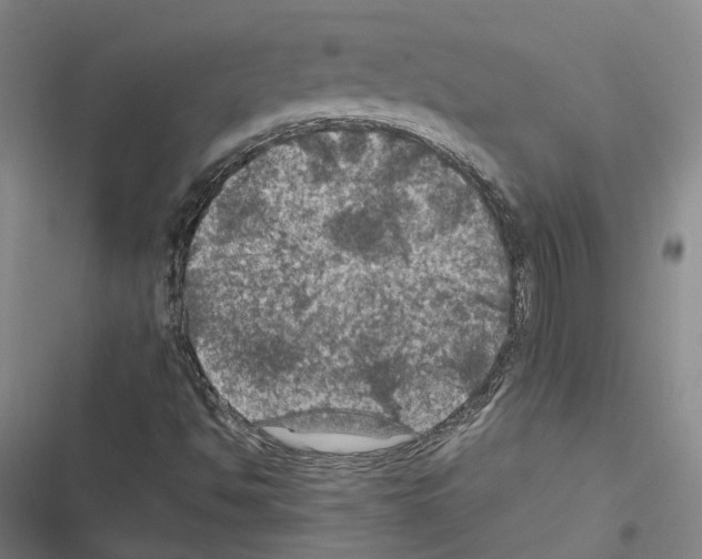 X0000116491494201001201352