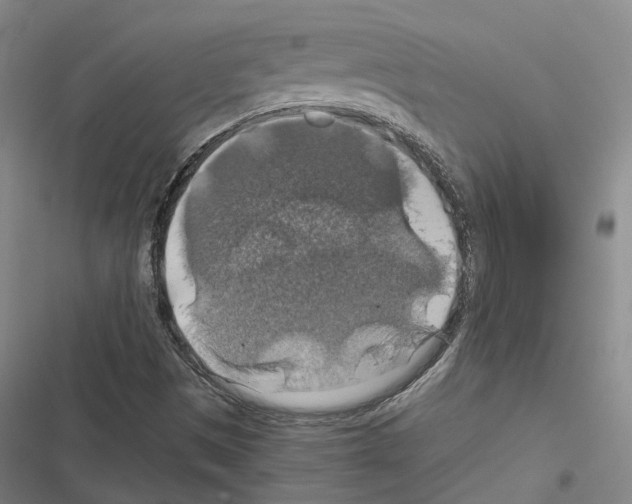 X0000116491497201001201352