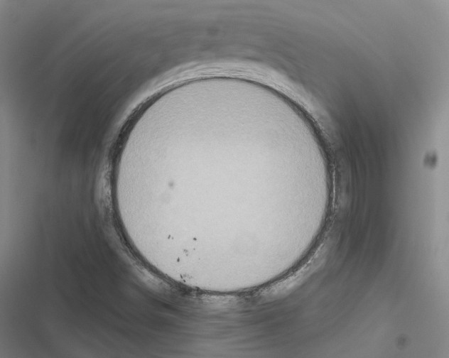 X0000116491498201001201352