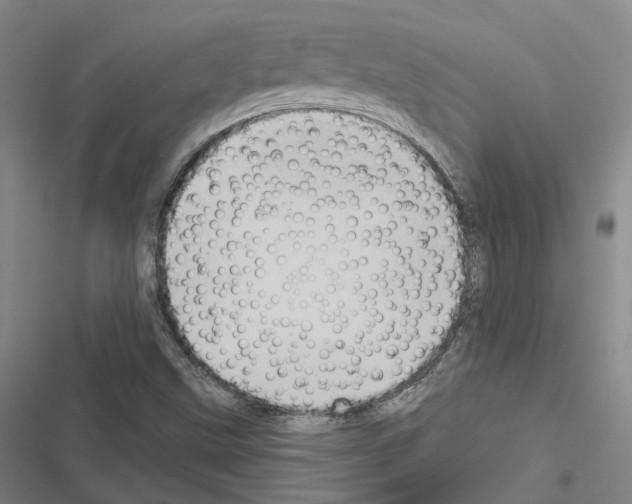 X0000116491499201001201352