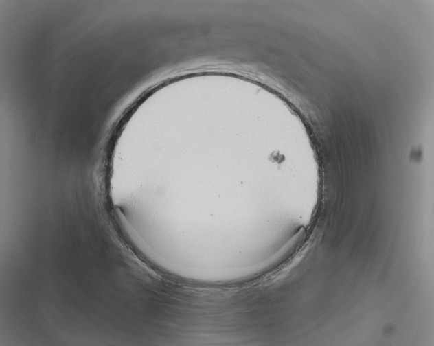 X0000116491502201001201352