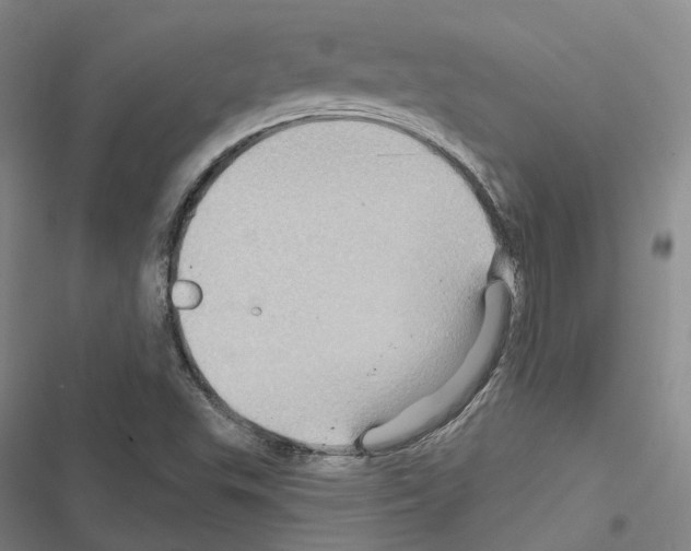 X0000116491503201001201352