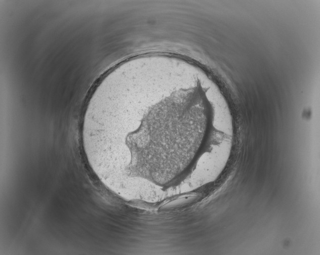 X0000116491505201001201352