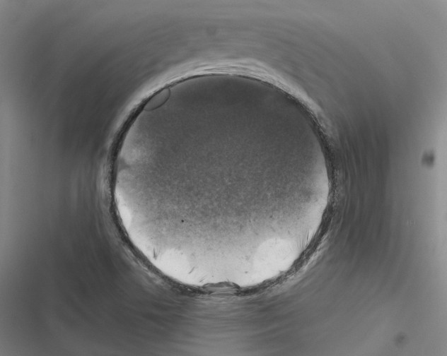 X0000116491506201001201352