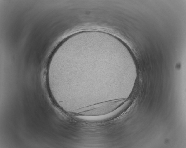 X0000116491507201001201352