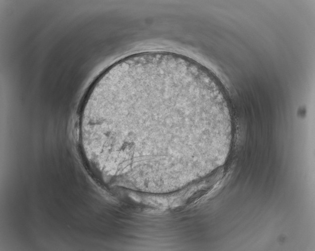 X0000116491509201001201352