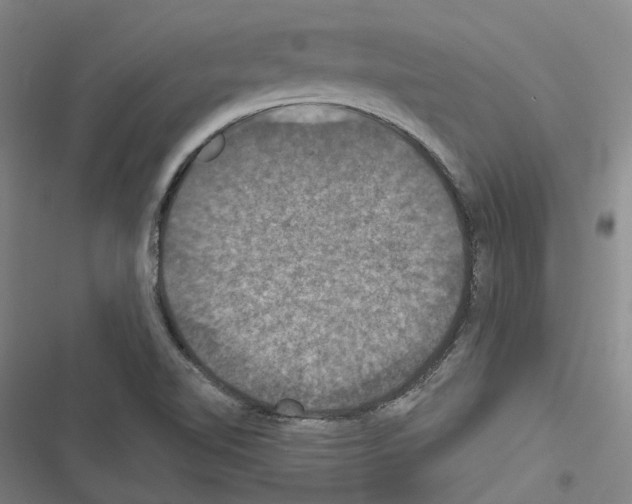 X0000116491510201001201352