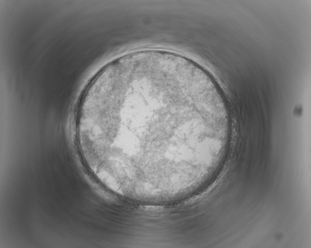 X0000116491511201001201352