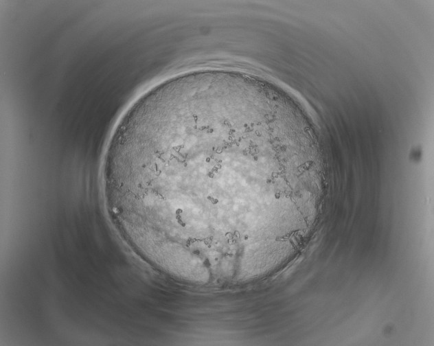 X0000116491514201001201352