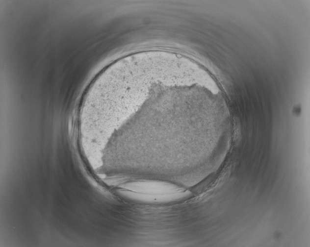 X0000116491515201001201352