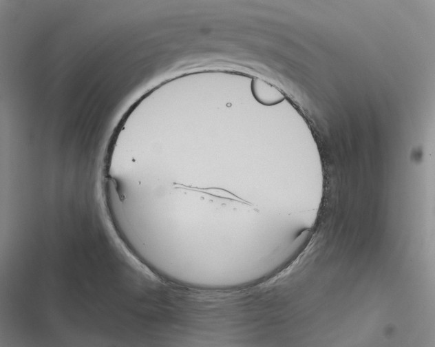 X0000116491518201001201352