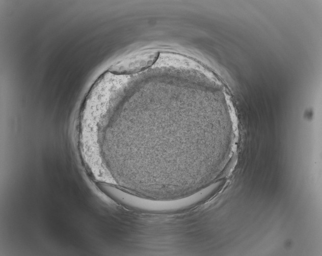 X0000116491519201001201352