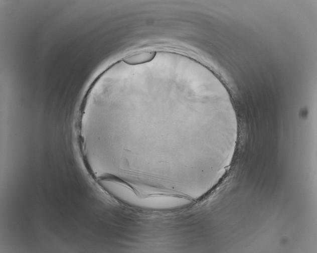 X0000116491522201001201352