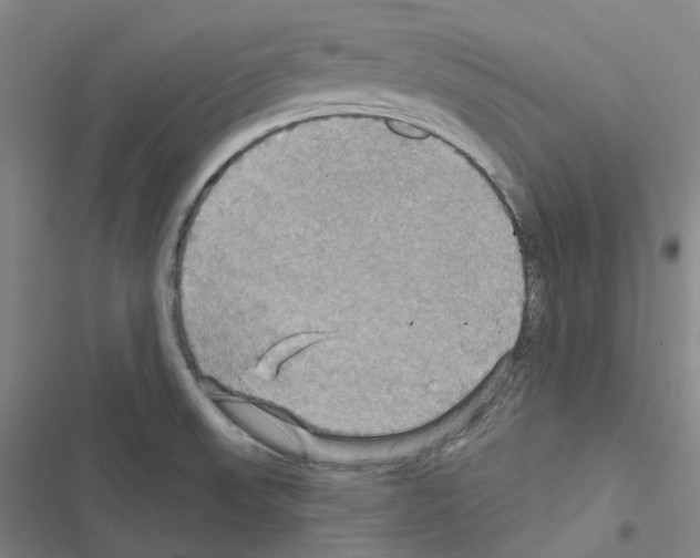 X0000116491523201001201352