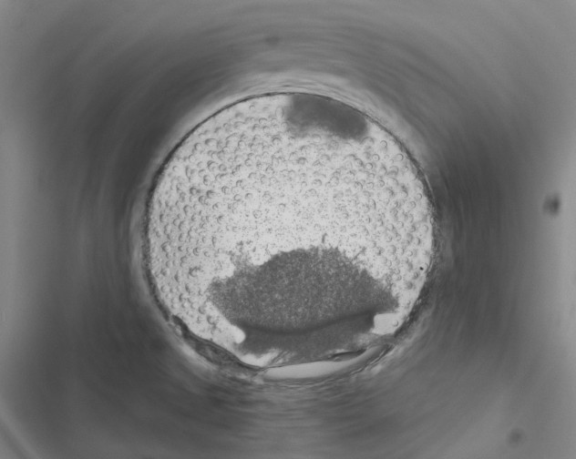 X0000116491525201001201352