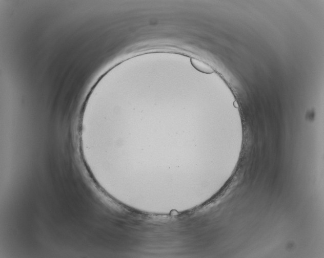 X0000116491526201001201352