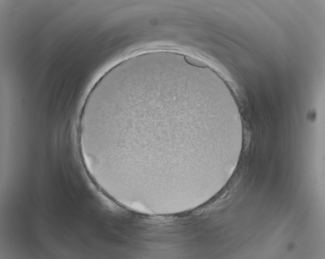 X0000116491527201001201352