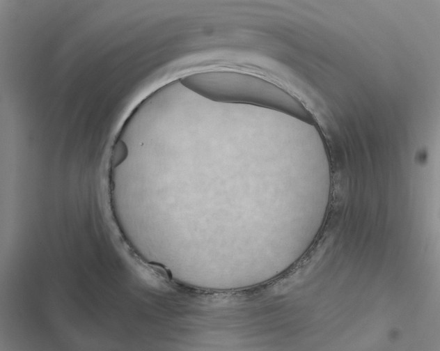 X0000116491530201001201352