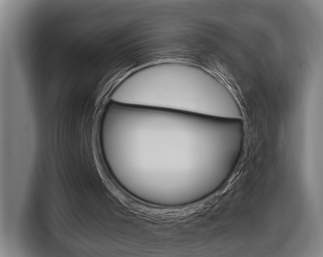 X0000116510001200912090956