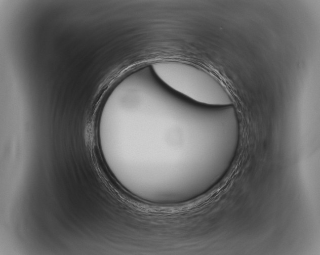 X0000116510002200912090956