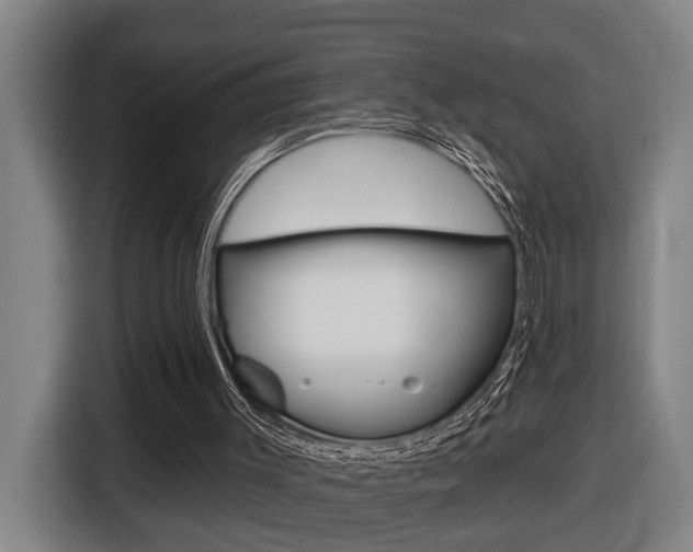 X0000116510003200912090956