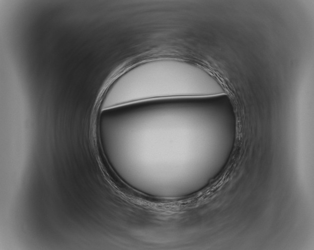 X0000116510004200912090956