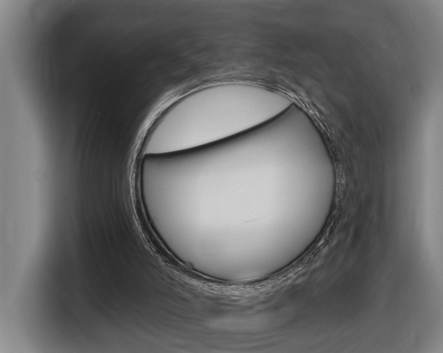 X0000116510006200912090956