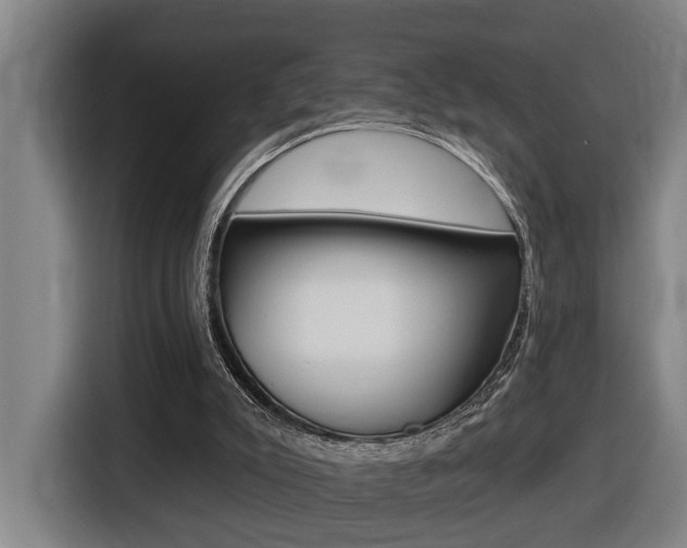 X0000116510007200912090956