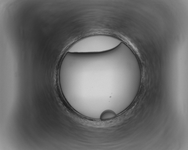 X0000116510010200912090956
