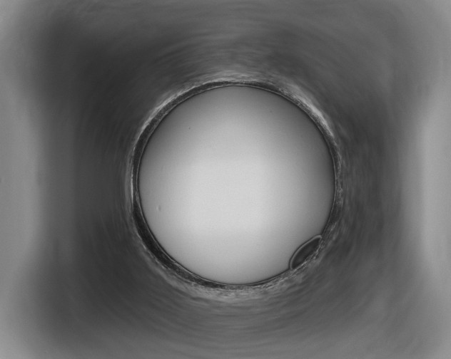 X0000116510011200912090956