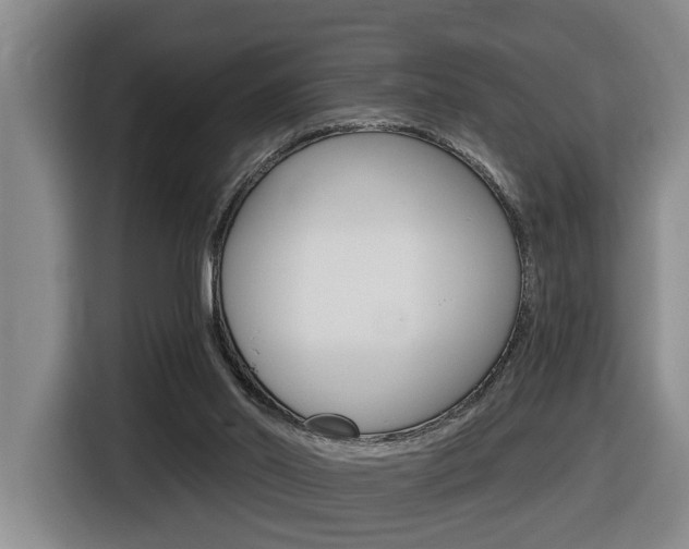 X0000116510014200912090956
