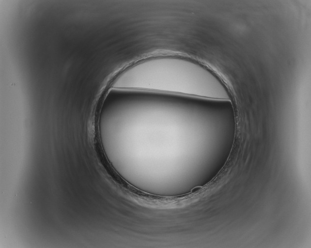X0000116510015200912090956