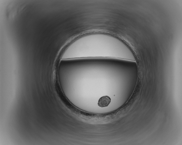X0000116510016200912090956