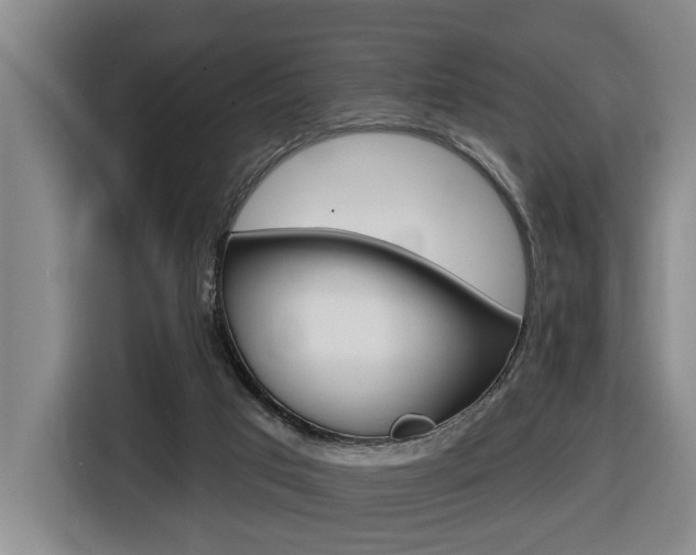 X0000116510017200912090956