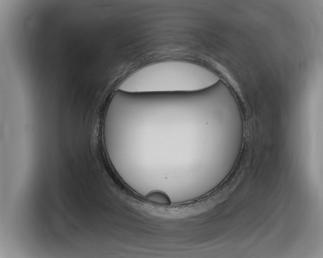 X0000116510018200912090956