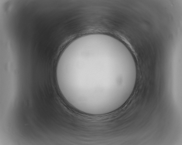 X0000116510019200912090956