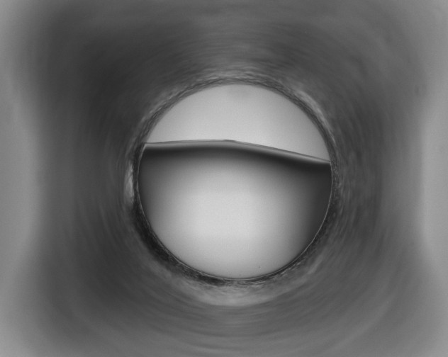 X0000116510020200912090956