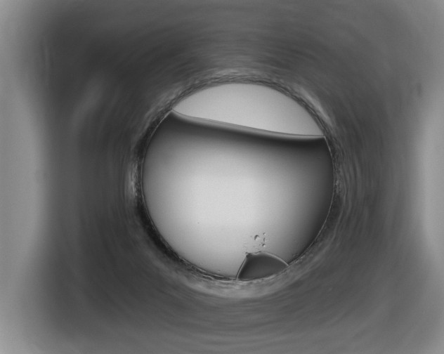 X0000116510023200912090956