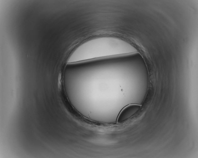 X0000116510024200912090956