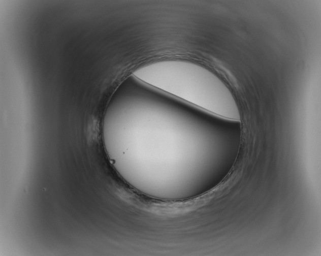 X0000116510025200912090956