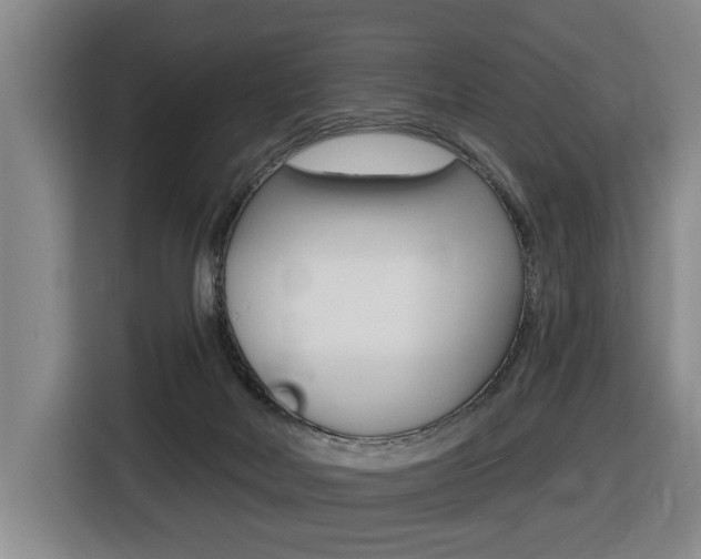 X0000116510026200912090956