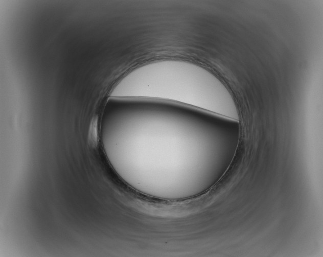 X0000116510028200912090956