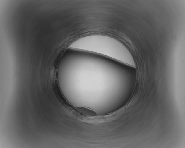 X0000116510029200912090956
