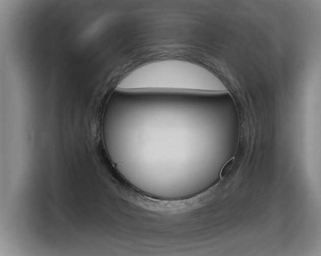 X0000116510031200912090956