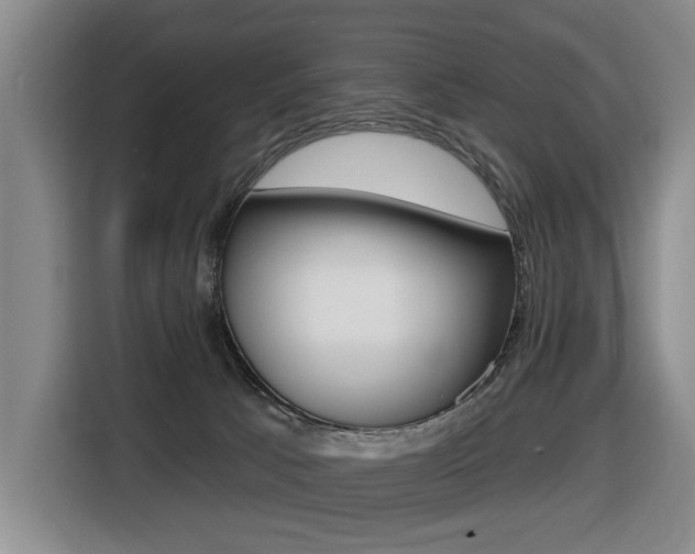 X0000116510033200912090956