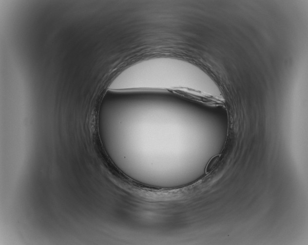X0000116510036200912090956