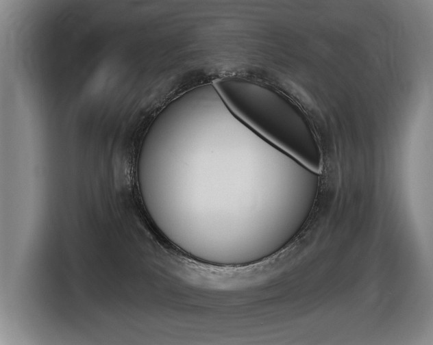 X0000116510039200912090956