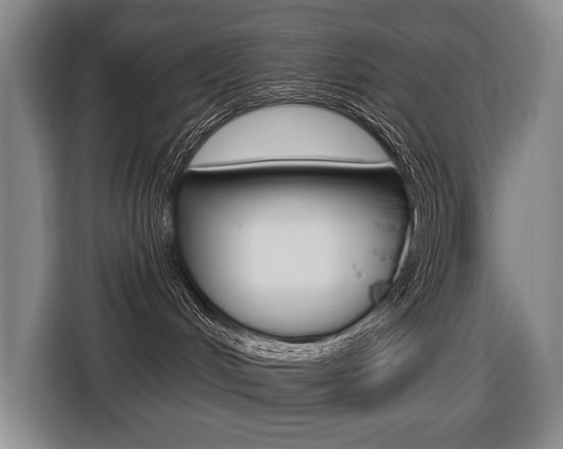 X0000116510048200912090956